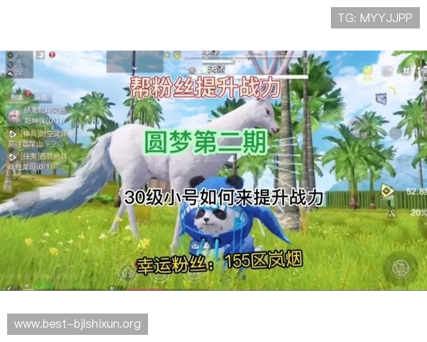 圆梦娱乐场真人游戏的客户服务与技术支持全方位保障让玩家无忧畅玩每一次游戏体验